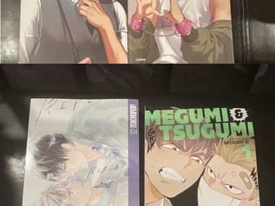 Lot of 49 bl manga