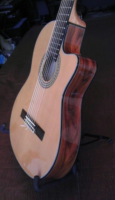DiGiorgio Talent II Brazilian Rosewood *Mint Condition* 2000 yr