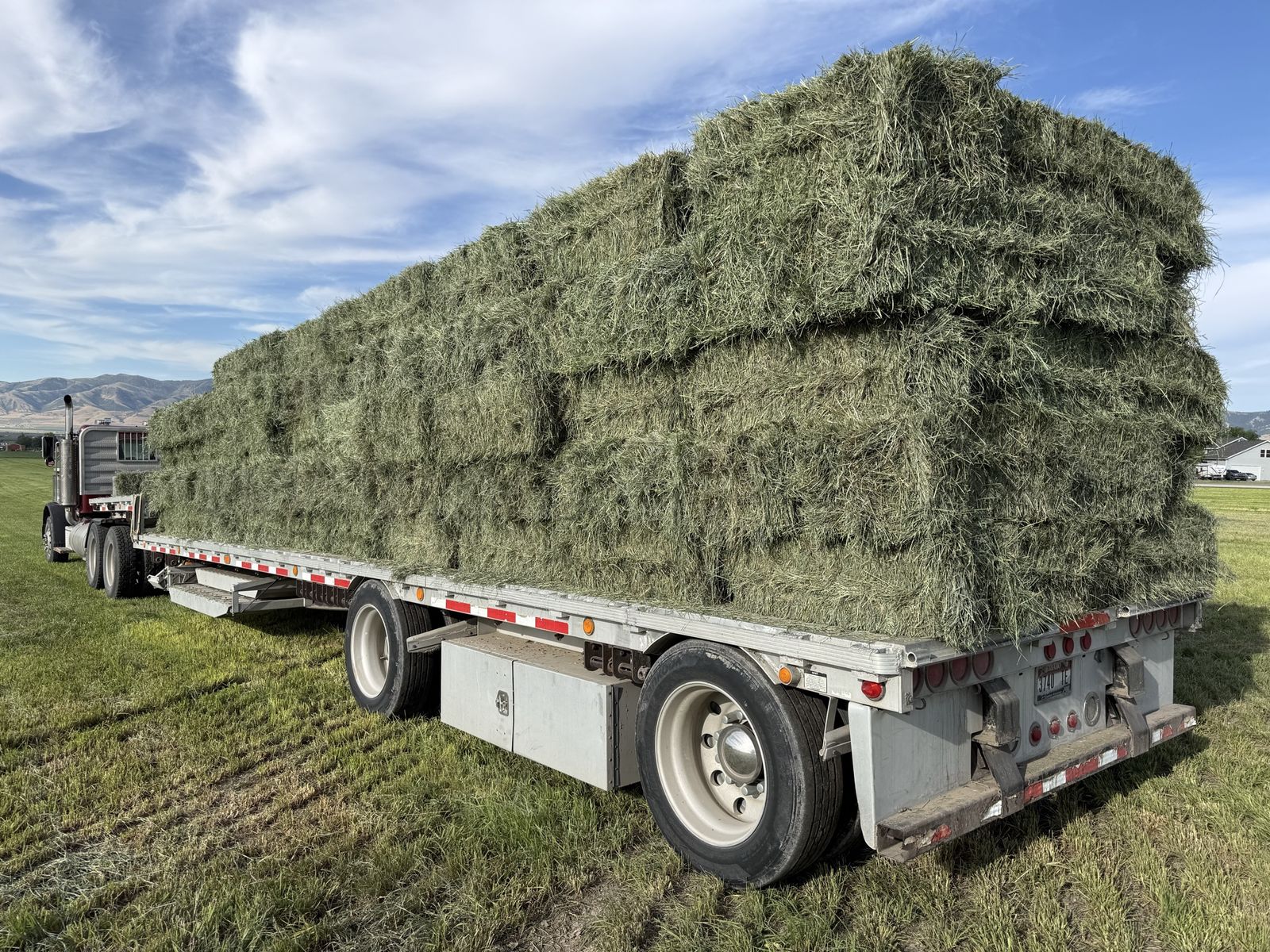 Premium Timothy Grass Hay Bales - Large Flatbed Load, Excellent Quality Forage