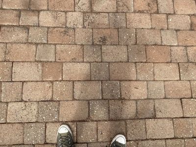 Used Brick Pavers - Approximately 350 sq ft of Interlocking Landscape Bricks