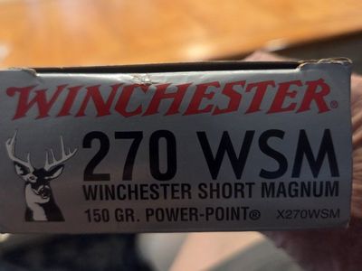 270 WSM