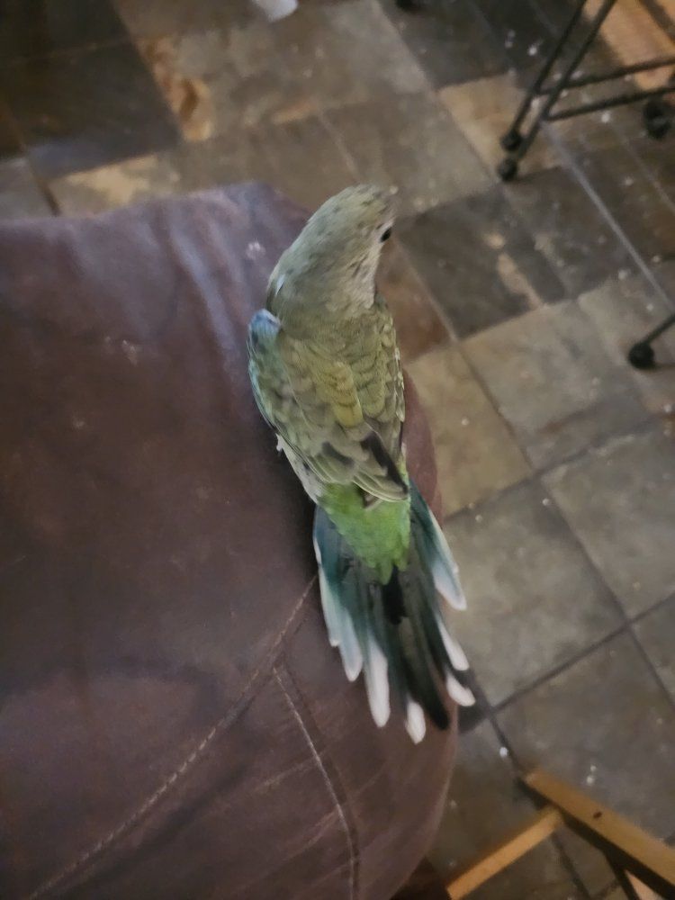 Main image 4