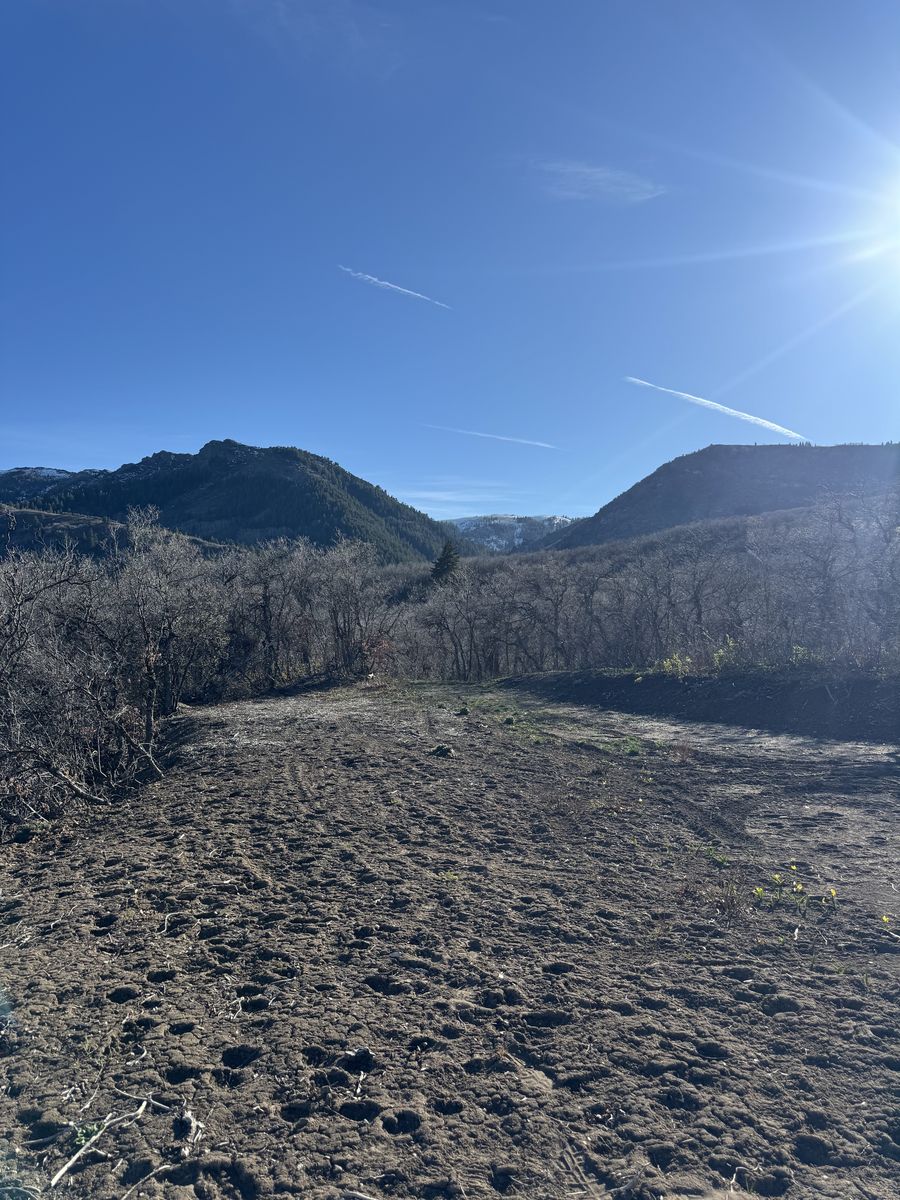 Morgan - Recreational Property