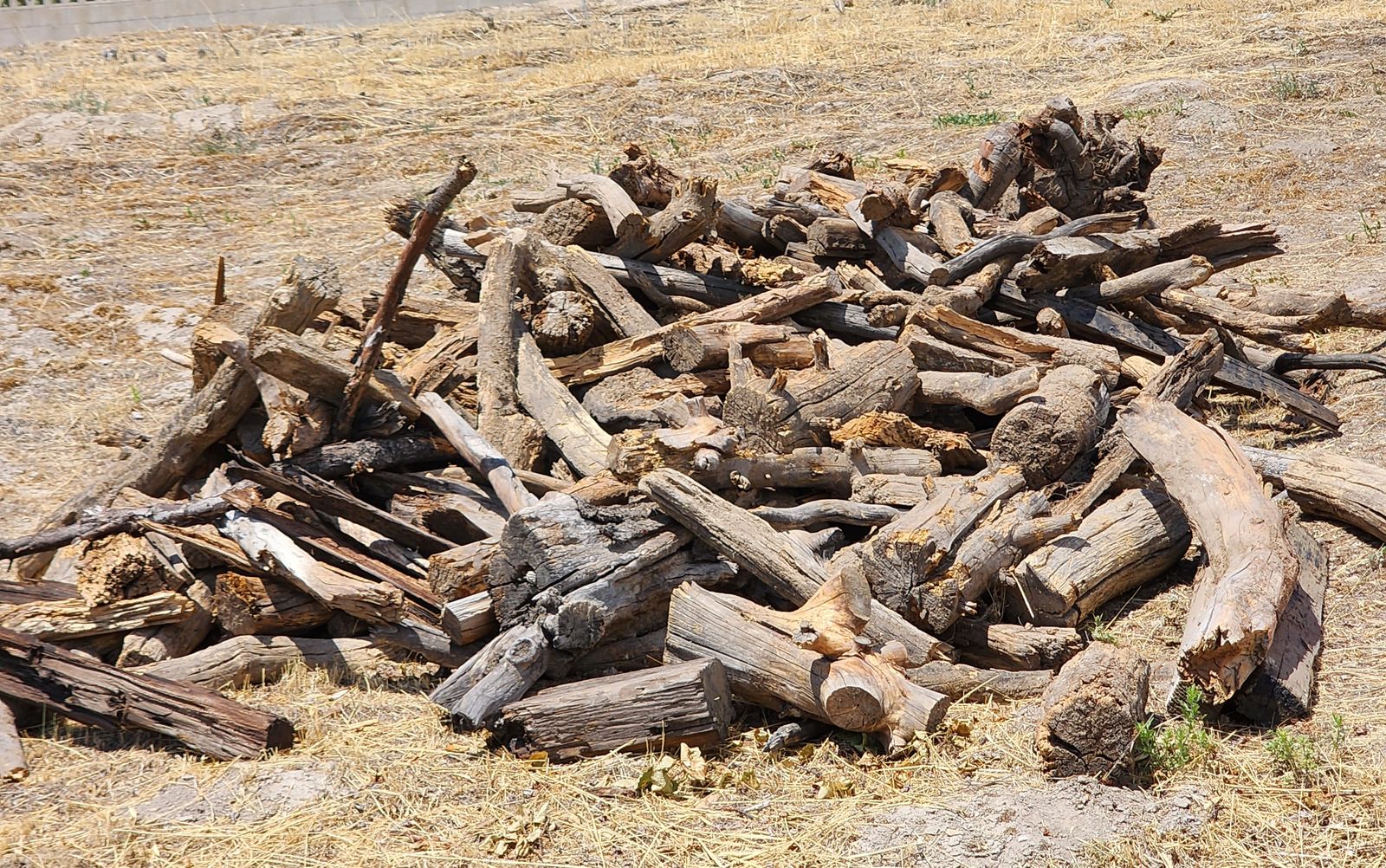 Large Pile of Firewood / Wood for Crafting or Home Decor - Assorted Branches & Logs