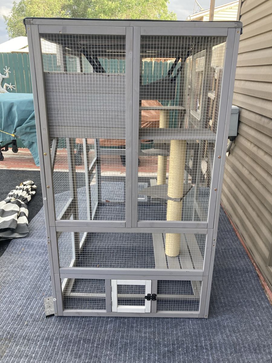 Catio