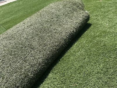 Turf