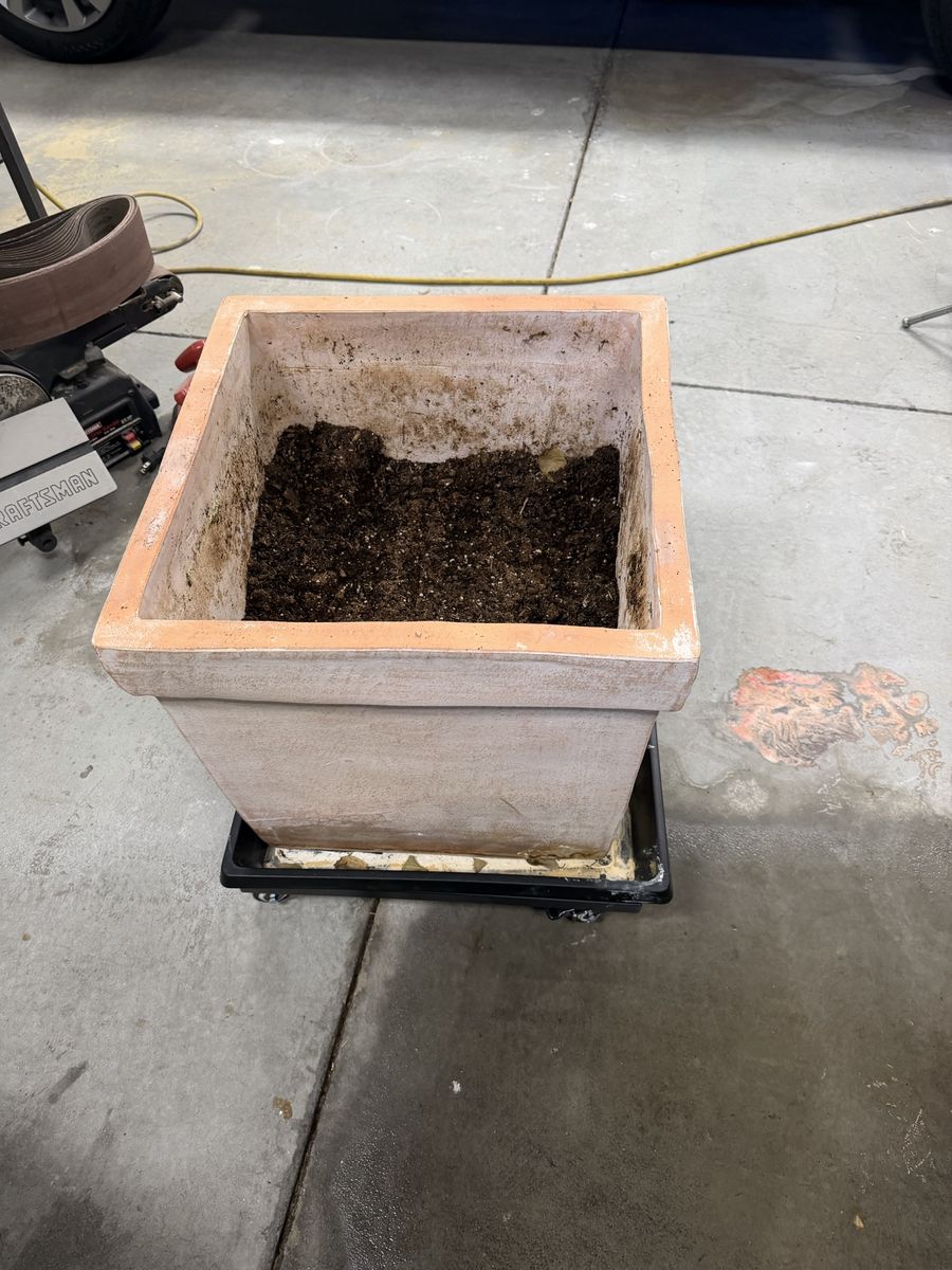 Main image 4