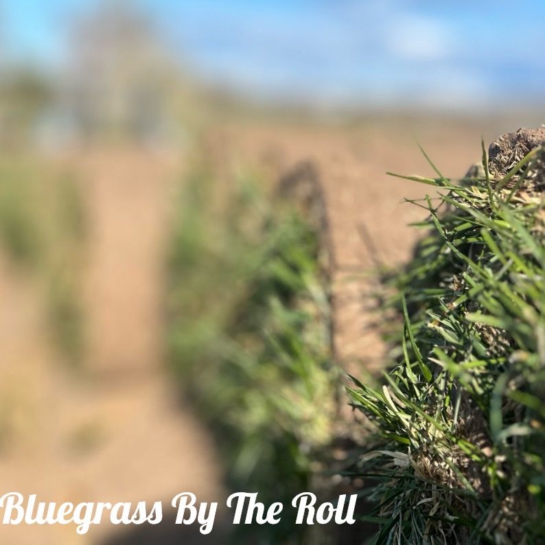 Blue Grass Sod Pickup