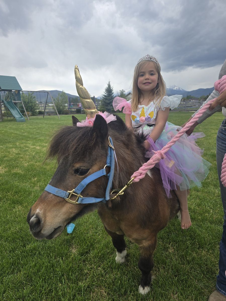 Princess Parties, Birthday Party Pony Rides and more!