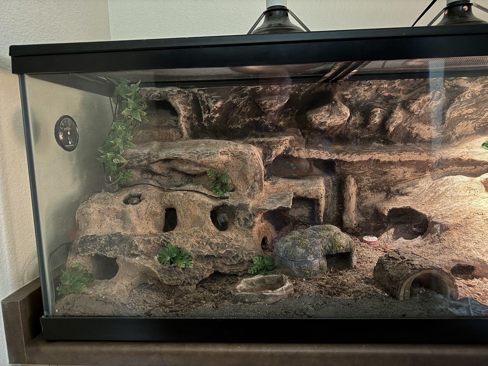 Main image 2