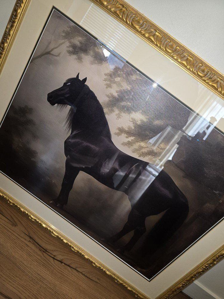 Gold Ornate Framed Black Horse Art