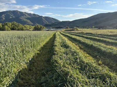 3-Way Bales