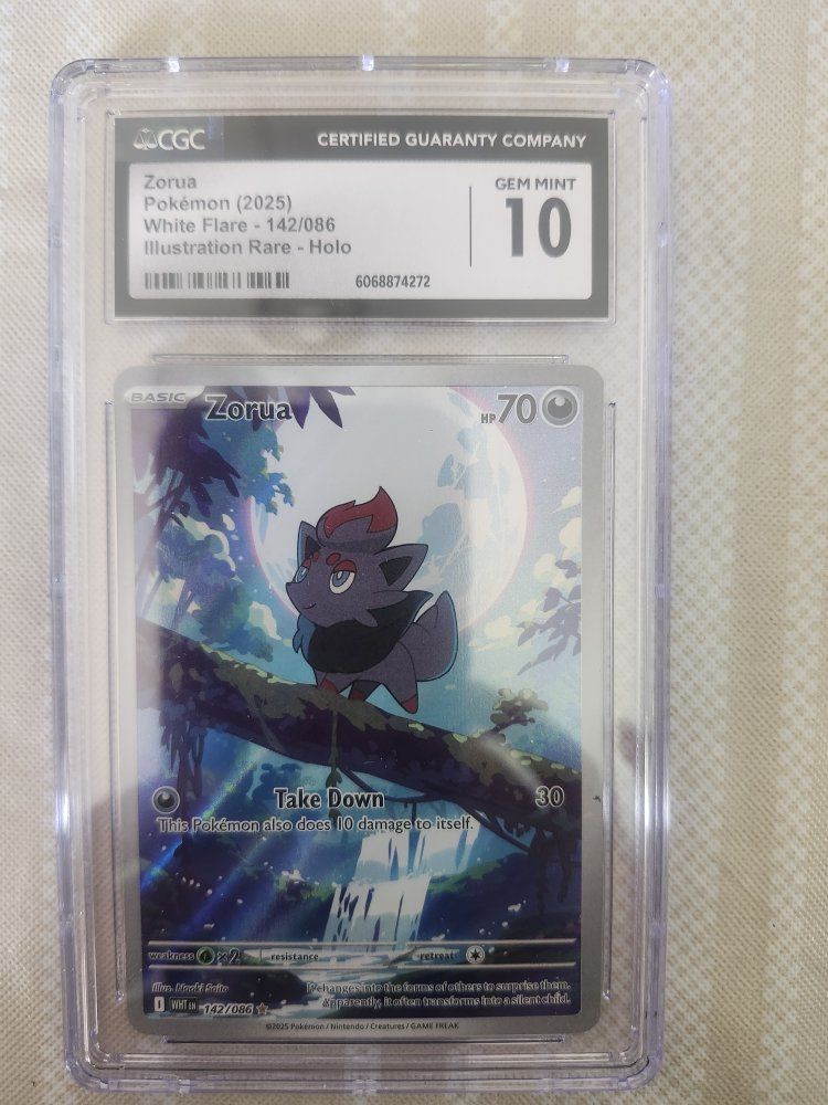 pokemon Zorua
