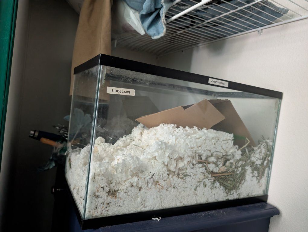 10 gallon tank, water safe, previously used as hamster enclosure. 