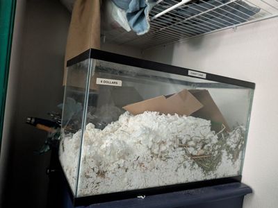 10 gallon tank, water safe, previously used as hamster enclosure.