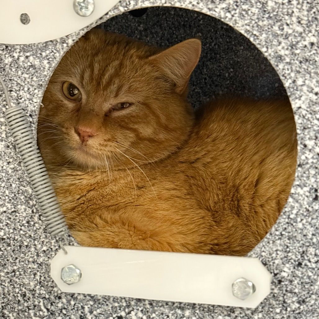 Hello my name is Shere Khan