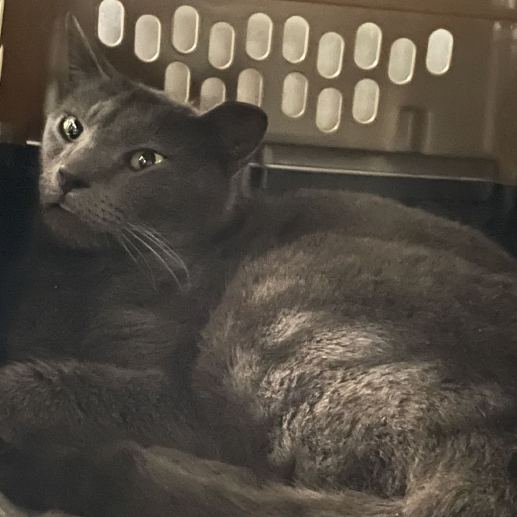 Hello my name is Saylor