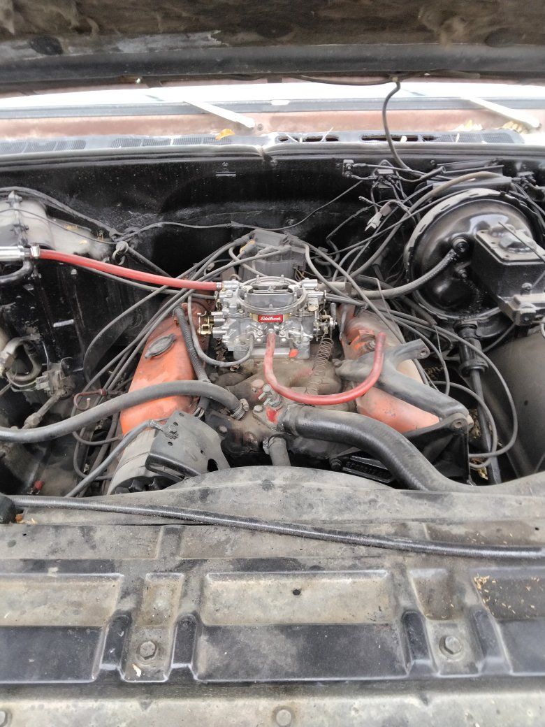 Main image 6