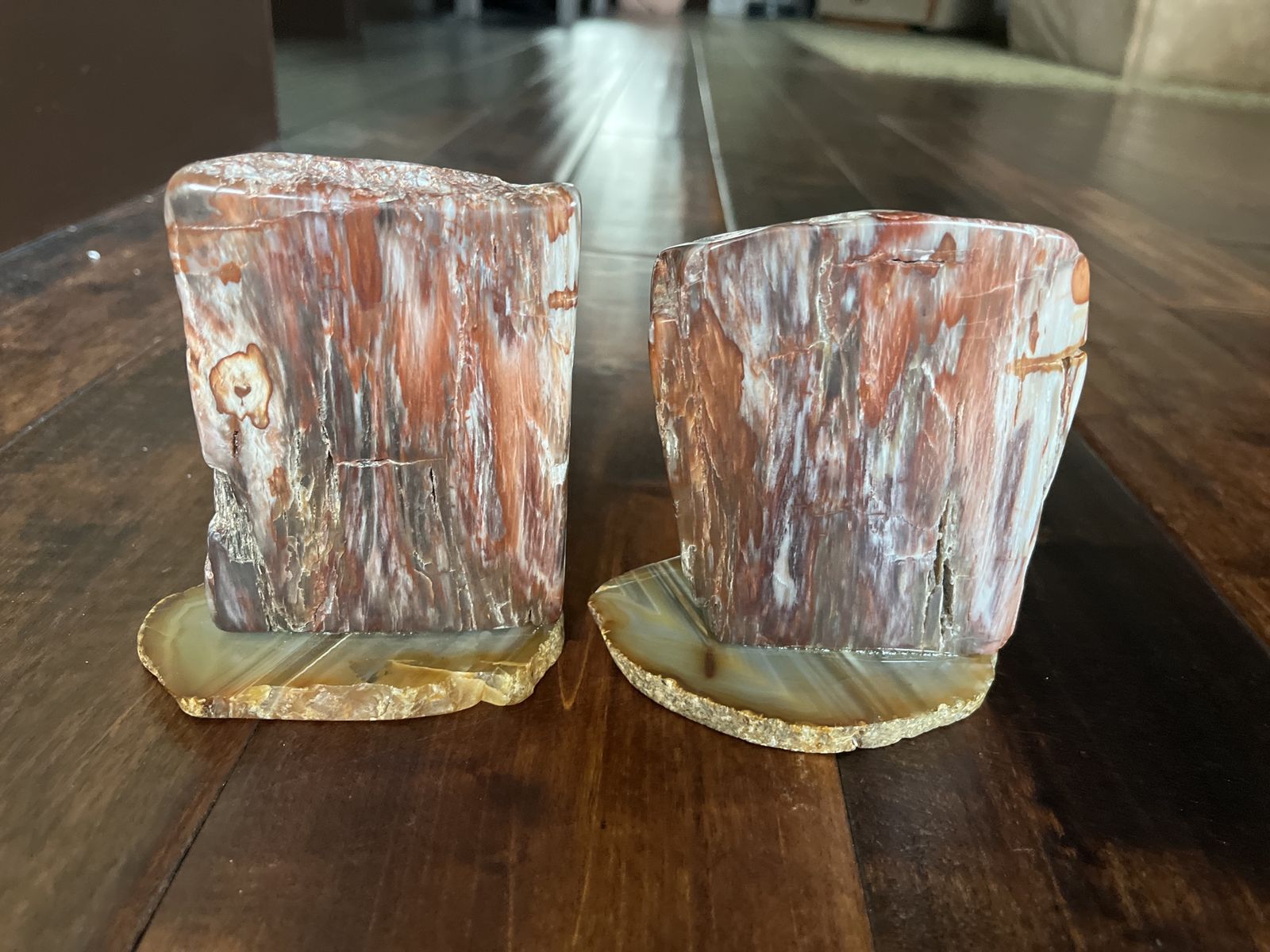 Petrified wood slabs