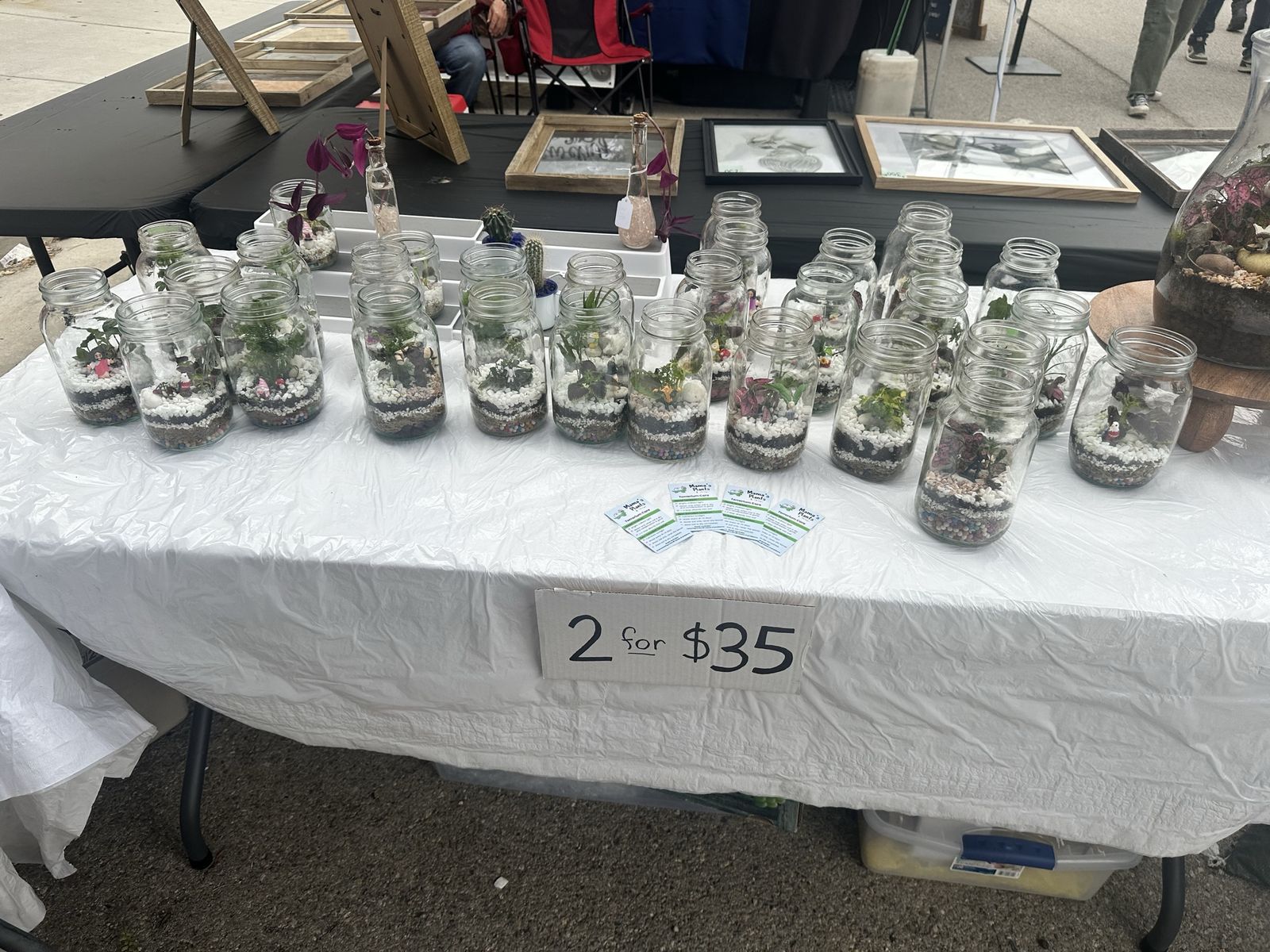 Canning jar terrarium with figure and live plants. 