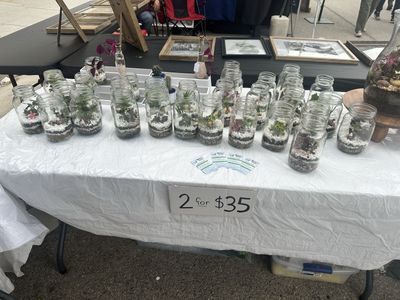 Canning jar terrarium with figure and live plants.