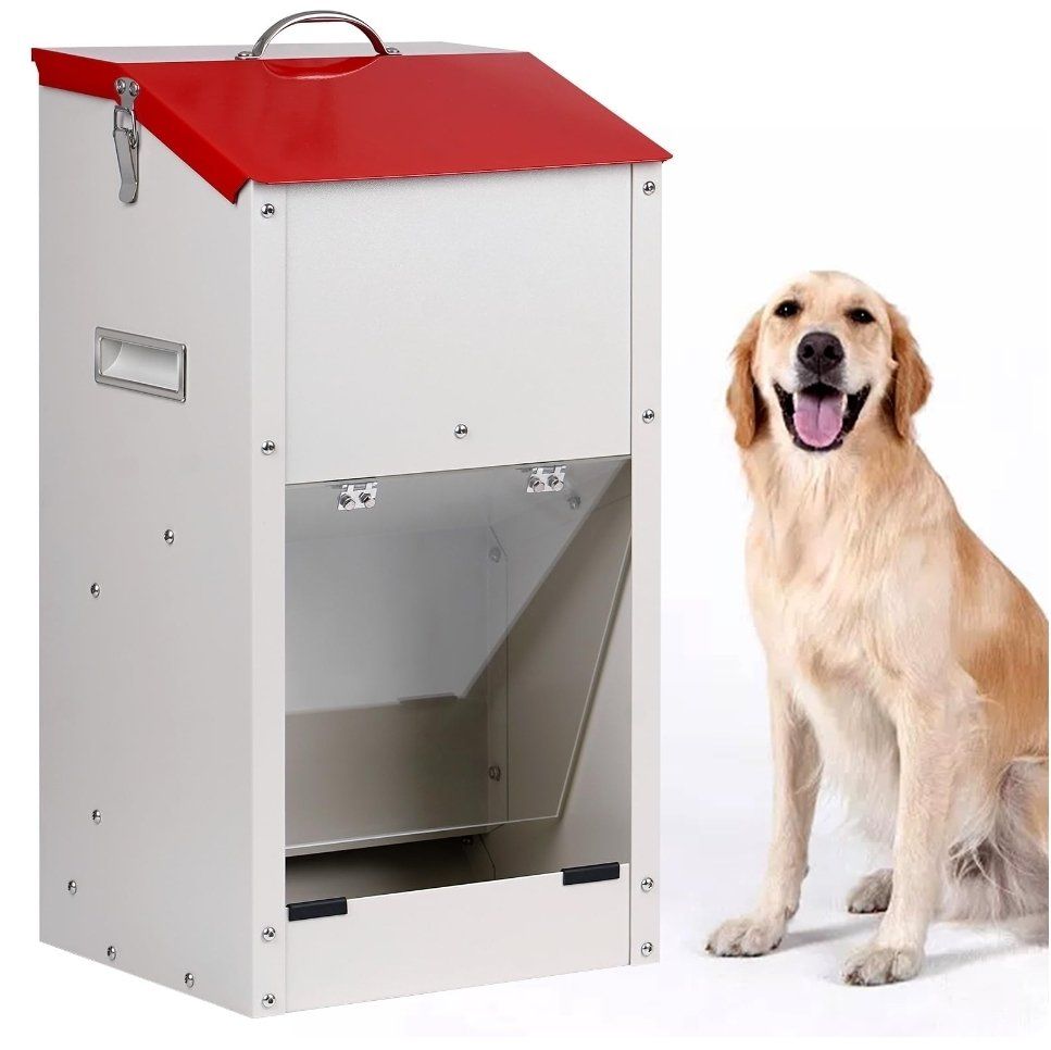 Galvanized Automatic Dog Feeder, 25lbs