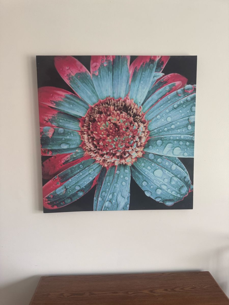 Large Wall Art Canvas Prints - Floral & Paris Street Scene