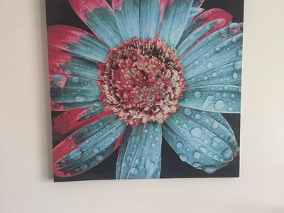 Large Wall Art Canvas Prints - Floral & Paris Street Scene