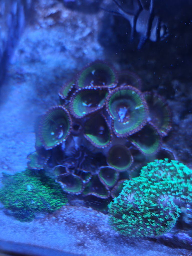 Main image 4