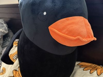 Giant Bat Duck