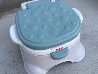 Fisher-Price Learn to Flush Training Potty Chair - Blue and White
