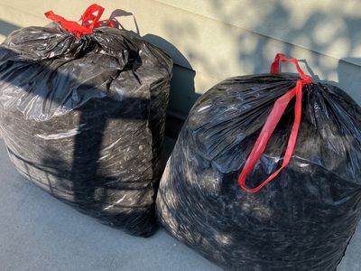 2 Bags Of Packing Peanuts