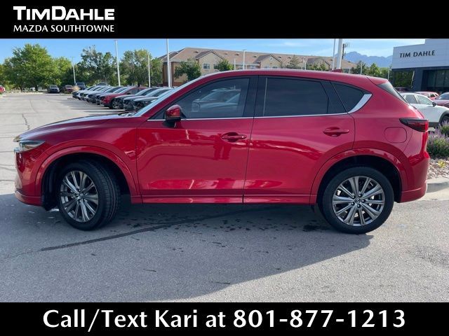 Main image 4