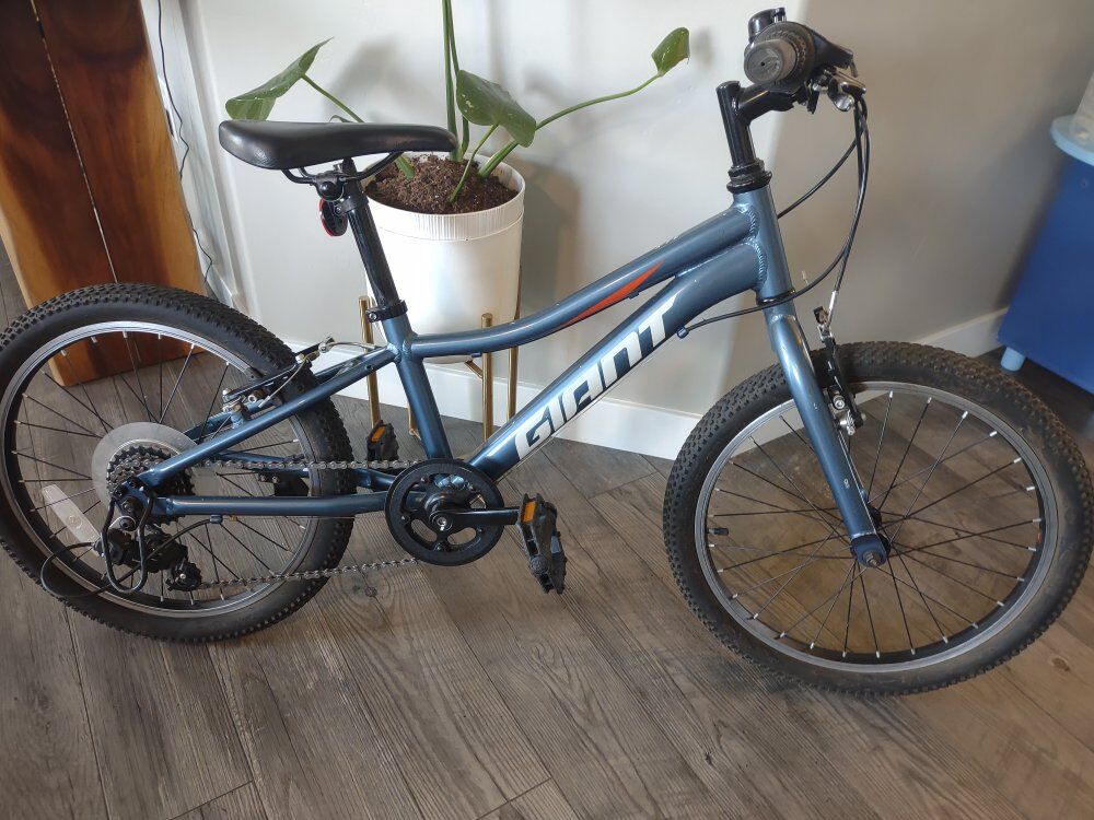 Bike "Giant" 20" wheels