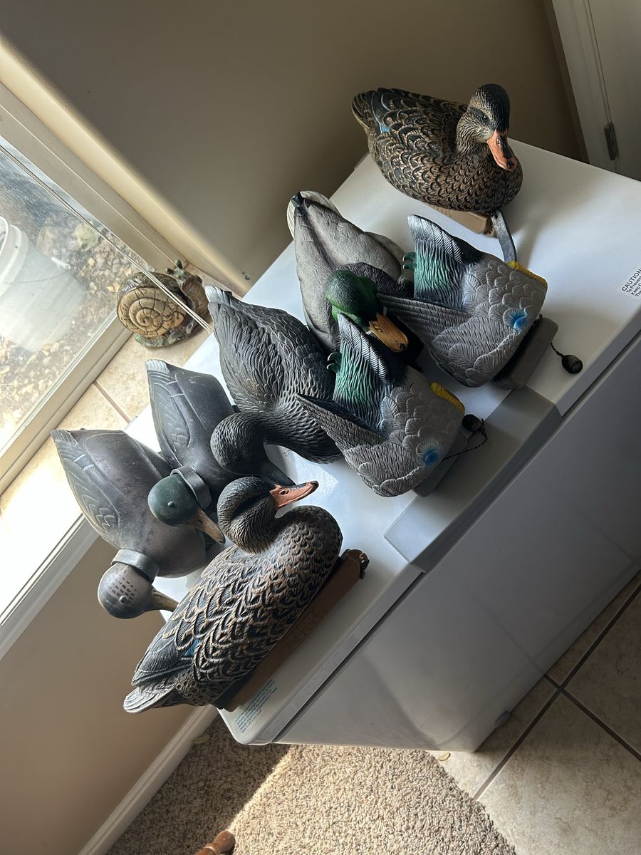 Avery Outdoors Duck Decoys - Set of 8 Lifelike Design, Waterfowl Hunting