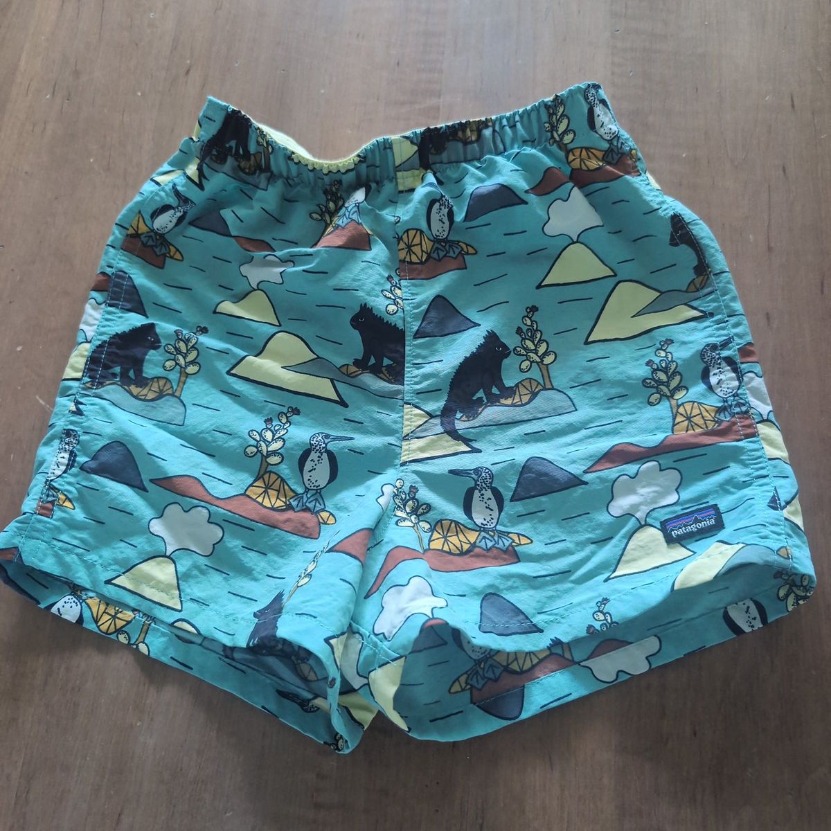 boys 5t Patagonia shorts