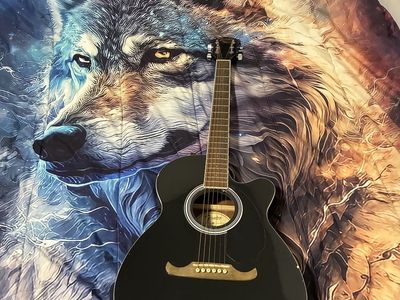 Guitar