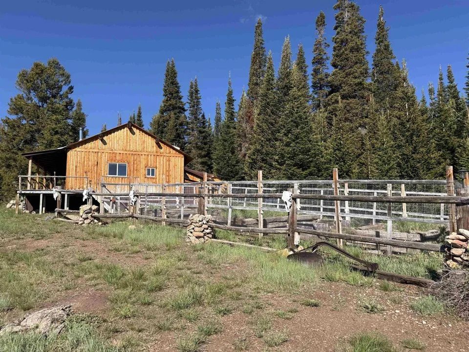Main image 5