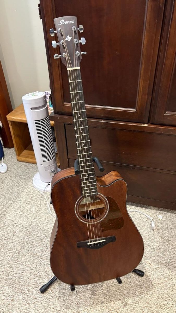 Ibanez AW54CE