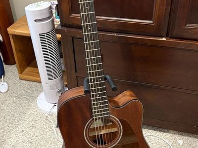 Ibanez AW54CE