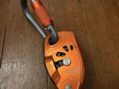 Neox with Black Diamond Twistlock