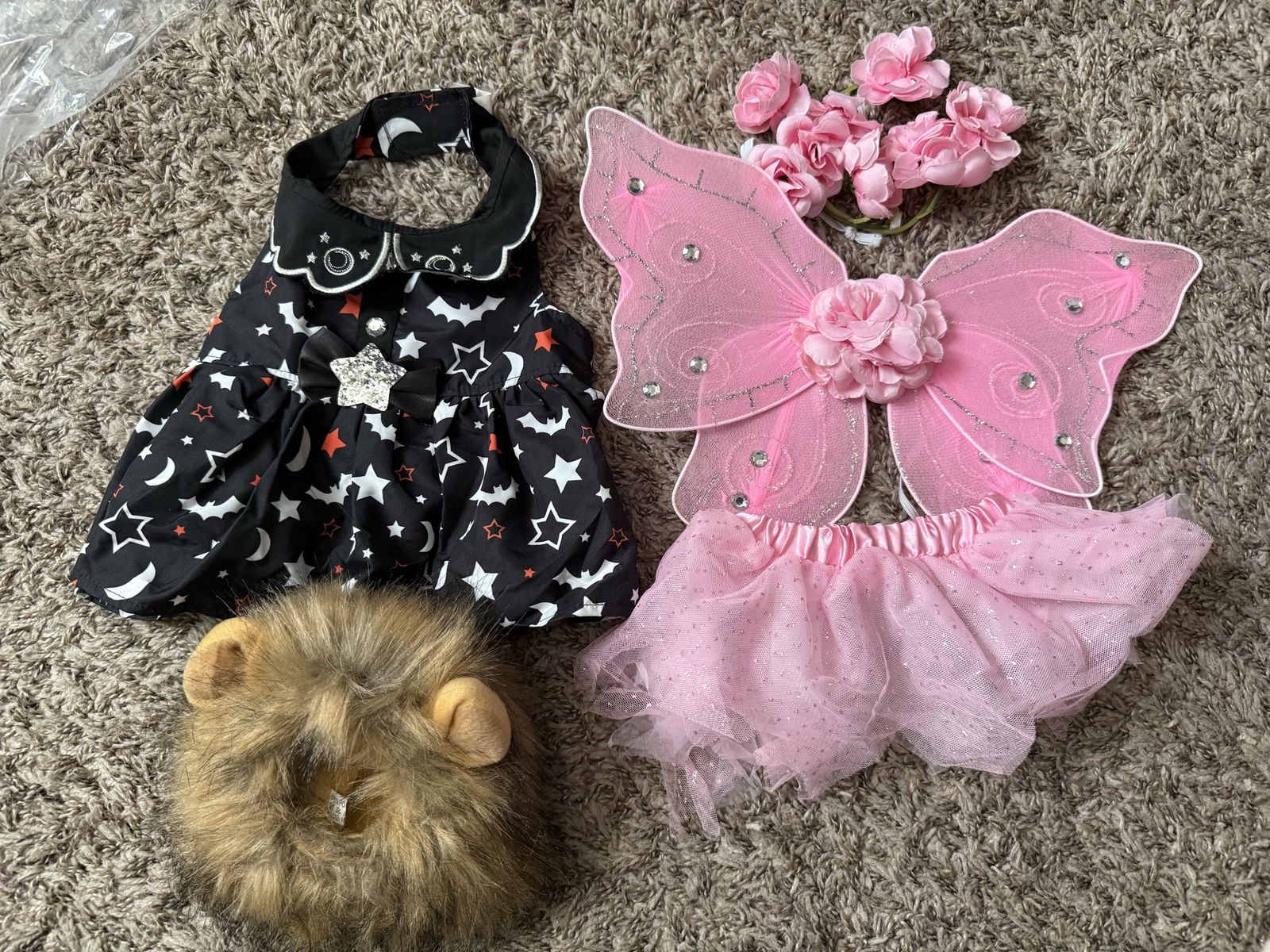 Pet Halloween costumes, sparkly fairy with wings,