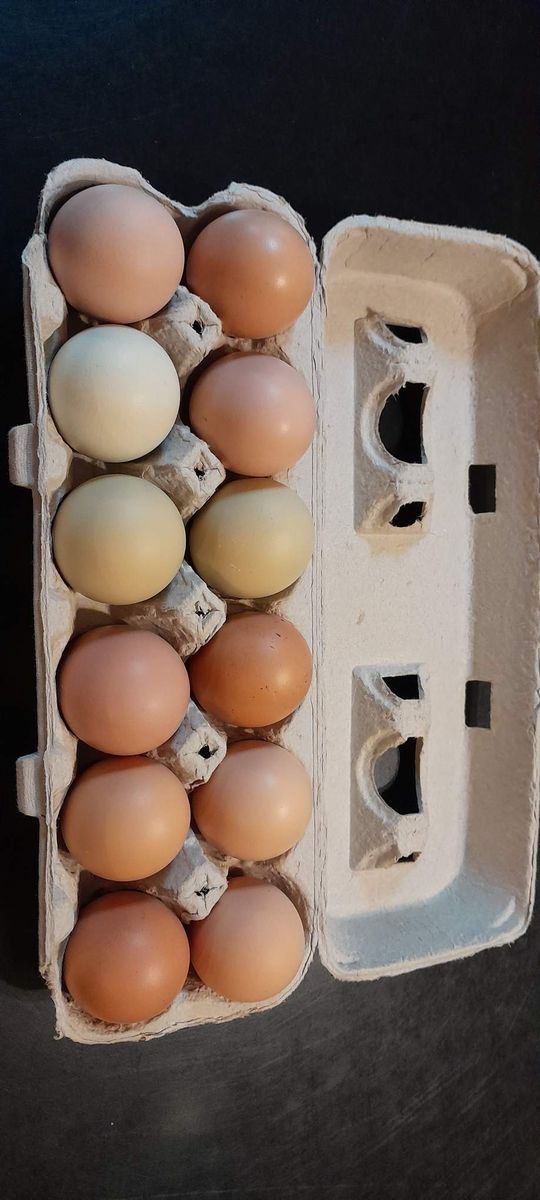 Fresh Farm Eggs