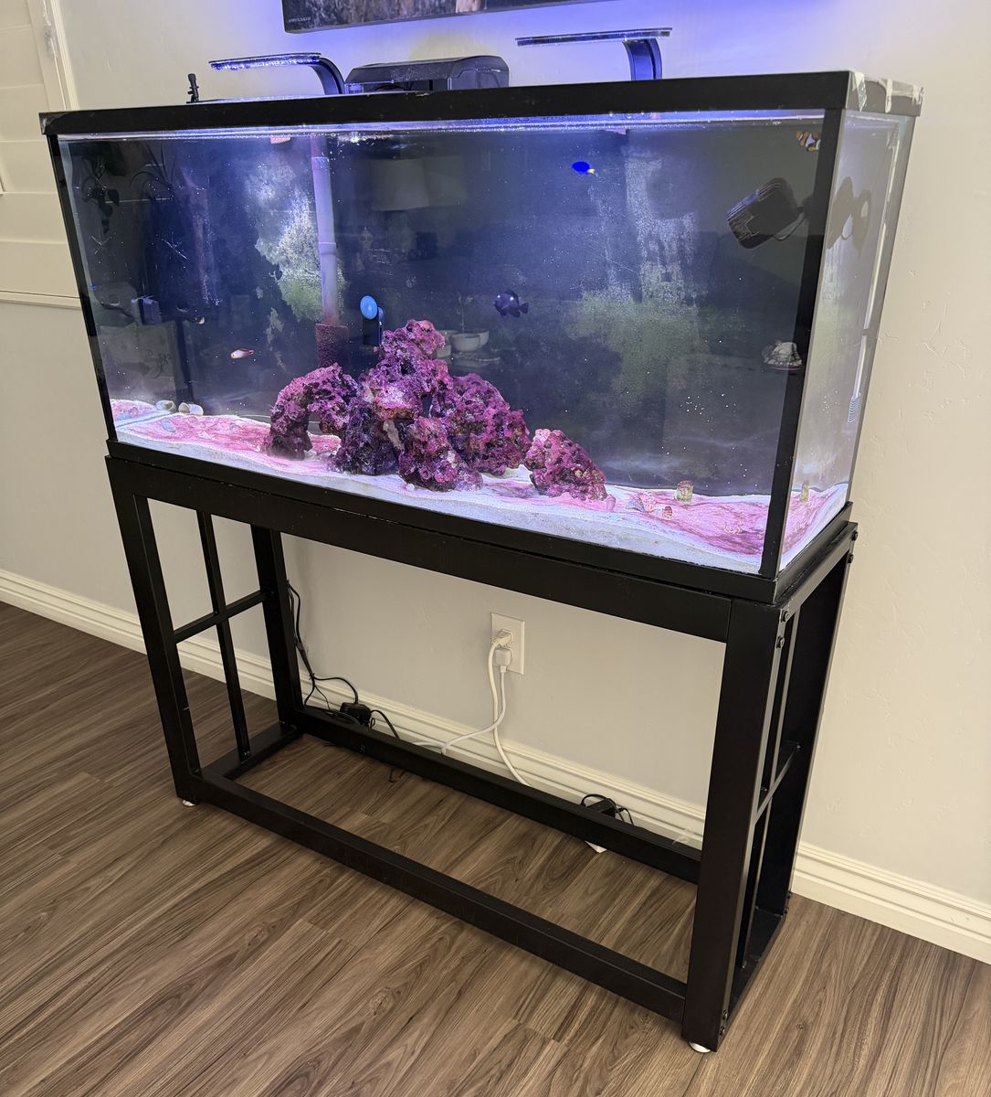 55 gallon complete tank