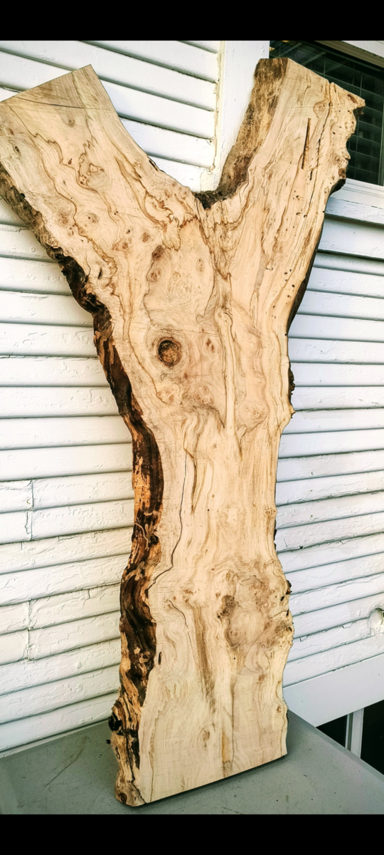 Maple Wood crotch slab