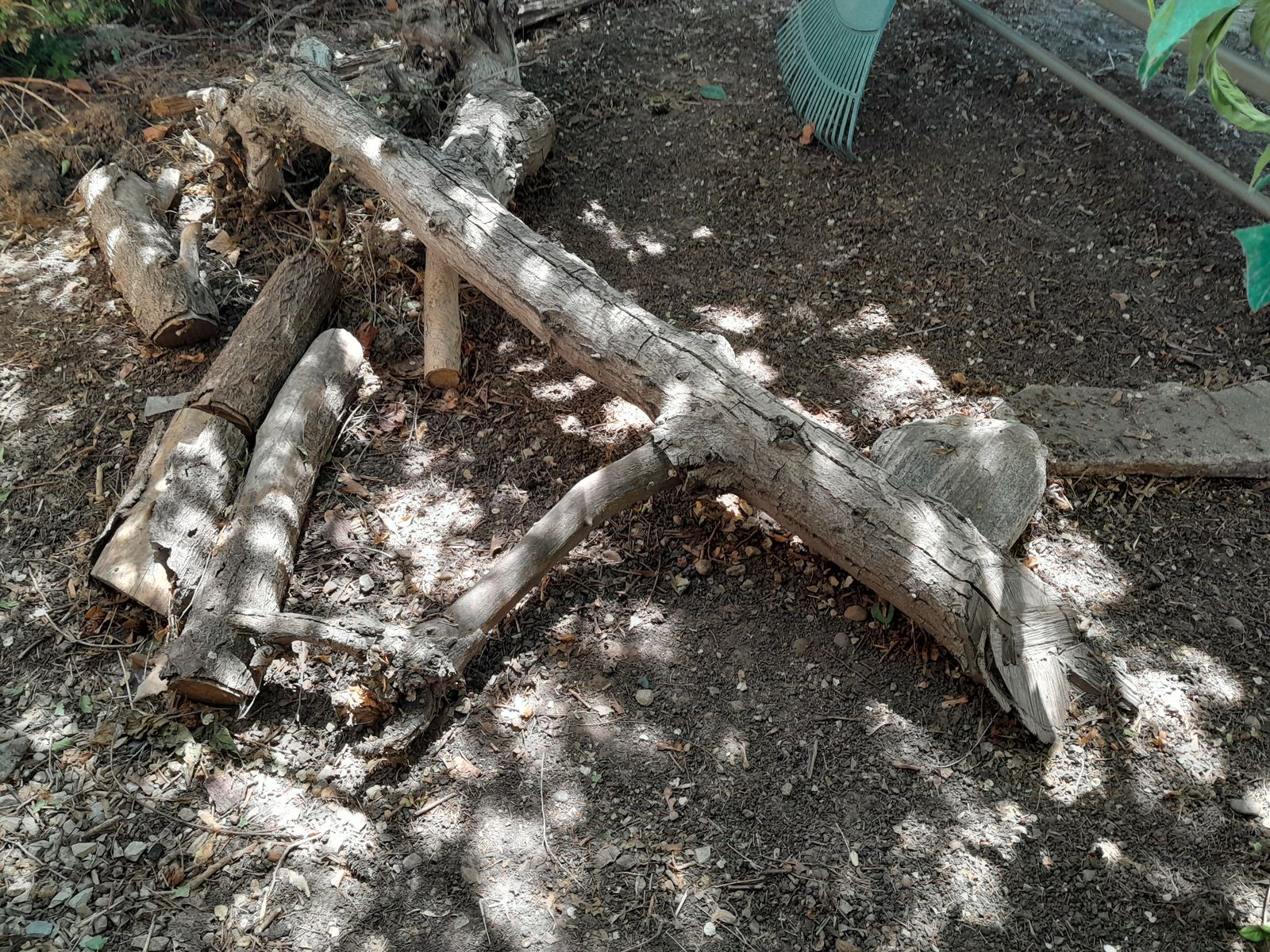 Walnut Tree Logs & Branches for Firewood/Crafts - Assorted Sizes