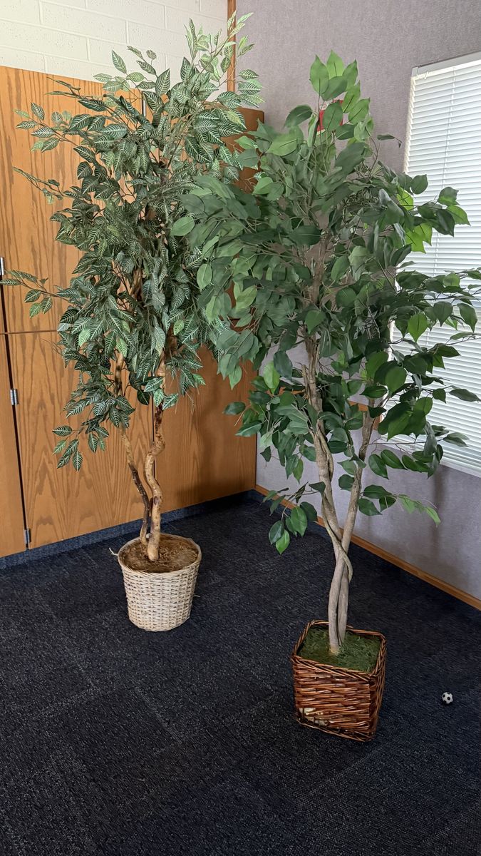 Faux Indoor Plants - Used by Skyline High Seminary - Must Go by 3 pm on 7/14/26