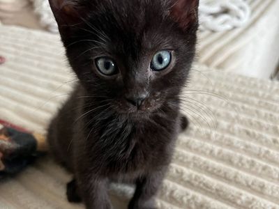 Hello my name is Seamus