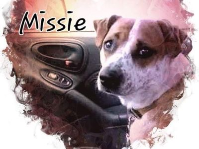 I.s.o someone who can add trans fluid in 2011 Hyundai