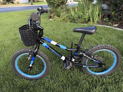 Guardian Bike - 16” Wheel